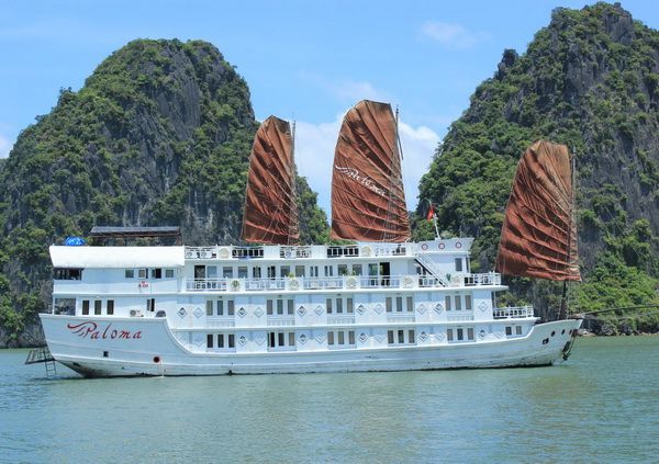 Paloma cruise