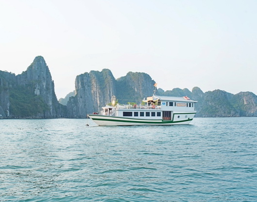 White Dolphin Cruise