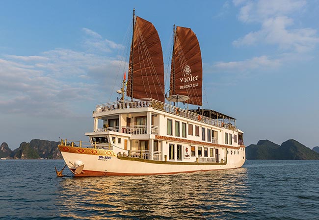 Violet Cruise