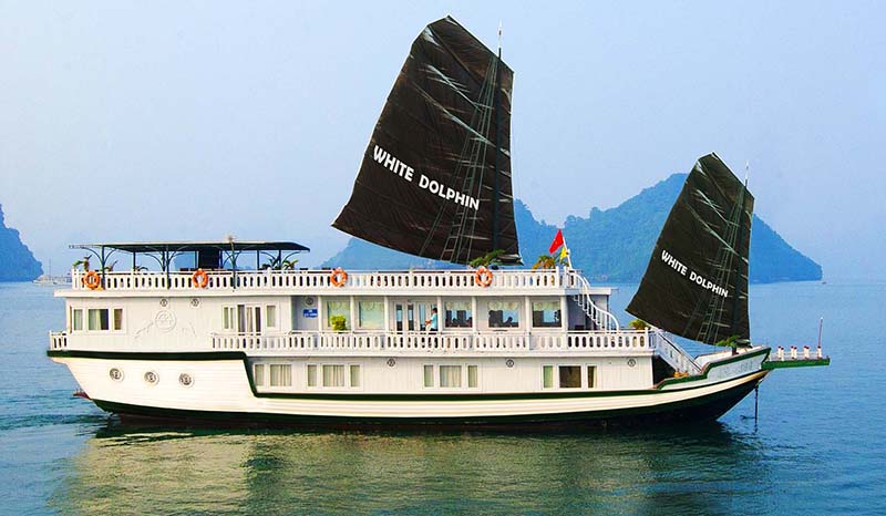 White Dolphine Cruise