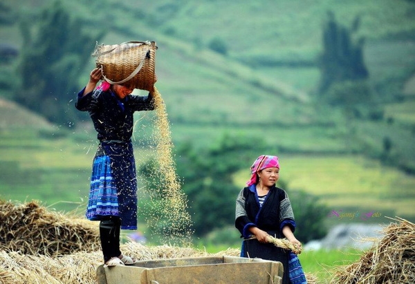 What is the best time to travel Vietnam, Laos and Cambodia ?