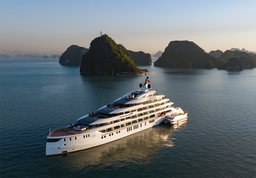 The Cruise