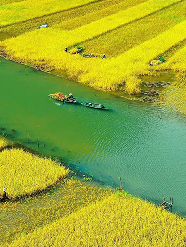 Countryside Tours