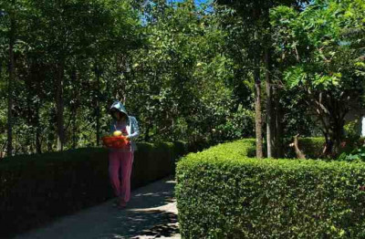 Full Day Cycling Tour to Thuy Bieu Village