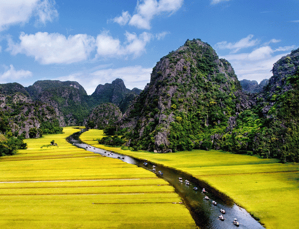 Hoa Lu - Tam Coc Full Day Tour