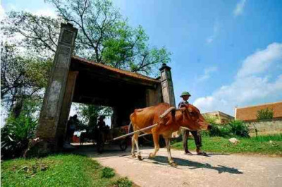 Moon Garden Homestay