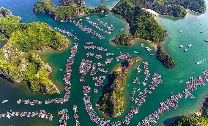 Protect Pristine Beauty of Lan Ha Bay: Hollywood hero DiCaprio